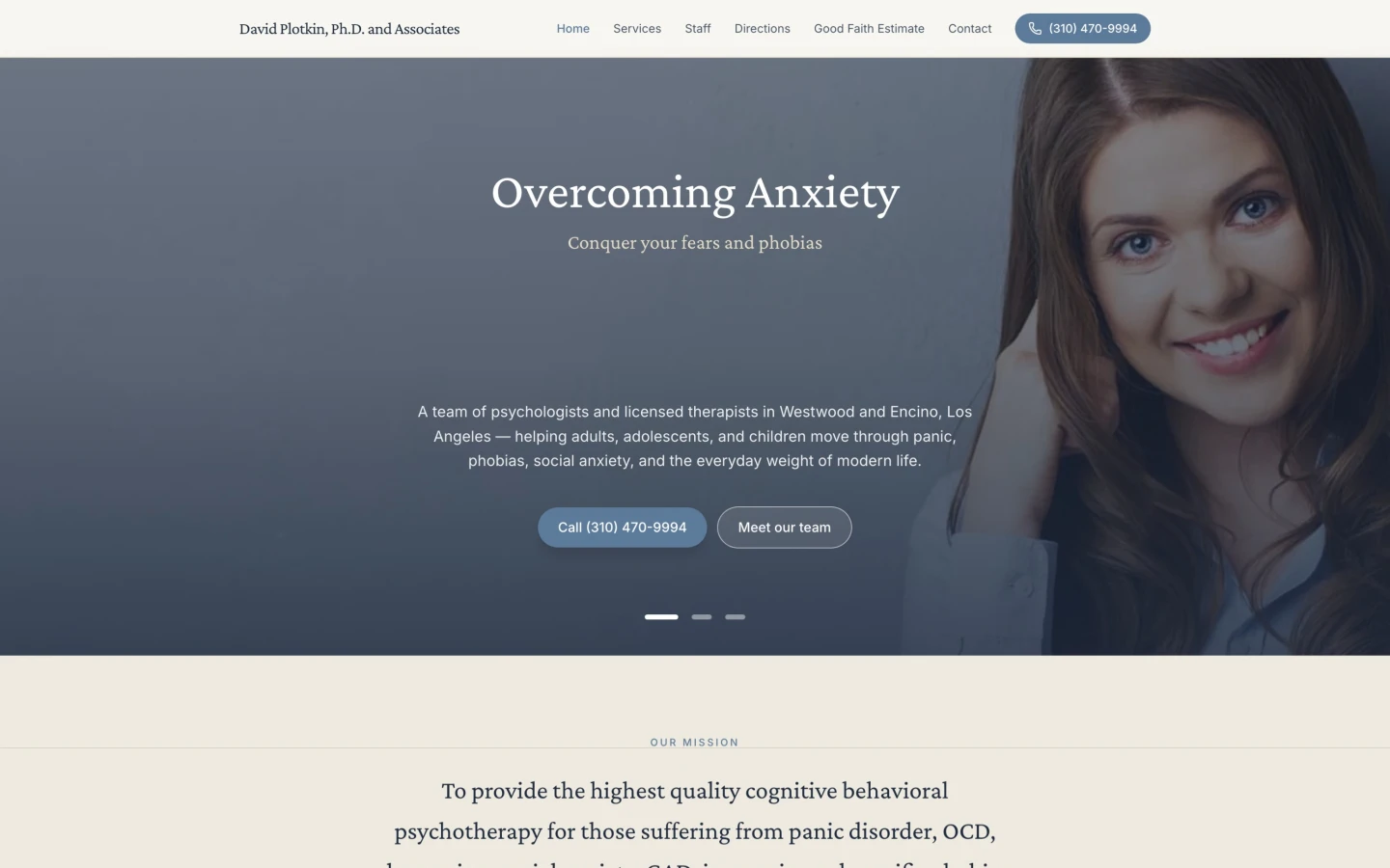David Plotkin, Ph.D. and Associates website built by Neuron Web Development